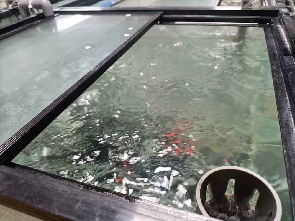 海南省海洋與漁業(yè)科學院