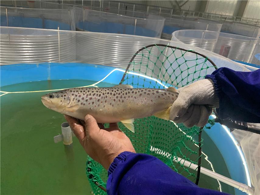 1600222799559494.jpg 1600222799559494.jpg